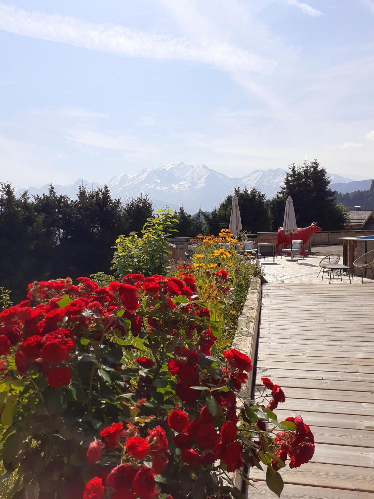 Chalet Les Rhodos Кордон Екстер'єр фото